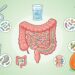 Esses 4 alimentos ajudam a melhorar o funcionamento do intestino