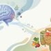 Como a ansiedade afeta nosso intestino