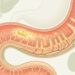 Vitamina D baixa não é só falta de sol: intestino, gordura na dieta, fígado e rins podem atrapalhar a absorção