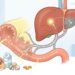 Vitamina D baixa mesmo com sol: quando intestino e fígado atrapalham a absorção