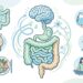 Intestino irritável: sete recomendações para reduzir o inchaço e o desconforto
