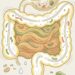 Qual é o principal alimento para ajudar o intestino e como incluí-lo nas refeições