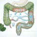 Magnésio para sono e cãibras: o efeito intestinal que muita gente confunde com “detox”