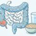 Hidratação adequada e uma dieta rica em fibras são fundamentais na prevenção de problemas intestinais