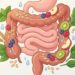 10 hábitos saudáveis para manter o intestino funcionando bem