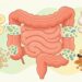 Prebióticos no prato: as fibras que alimentam a microbiota sem depender de cápsulas caras