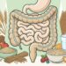 Uma forma simples de cuidar da saúde do intestino é comer mais alimentos com fibras