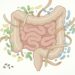 Prebióticos no prato: as fibras que alimentam a microbiota sem depender de cápsulas caras
