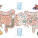 Gases, dor e intestino preso juntos podem apontar para alteração de microbiota pouco lembrada