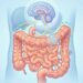Intestino irritável com exames normais: como reconhecer o padrão de dor, gases e alteração das fezes