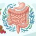 Probiótico para intestino preso: novo estudo aponta melhora em evacuação, inchaço e microbiota intestinal