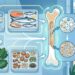 O que comer para fortalecer os ossos: a relação entre nutrição e saúde óssea