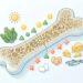 Vitamina K2 e ossos: quando faz sentido conversar sobre ela junto com cálcio e vitamina D