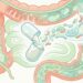 Quanto tempo leva para o probiótico fazer efeito no intestino