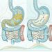 Aveia ou sêmola: qual é a melhor opção para controlar o açúcar, as fibras e as proteínas?