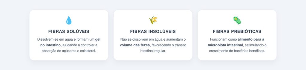 Quais são os tipos de fibras e suas funções?