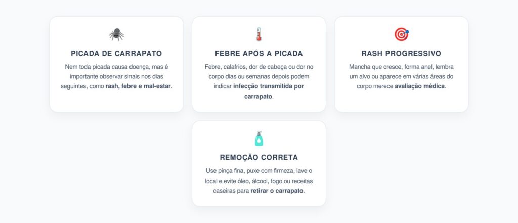 Picada de Carrapato: Quando Rash ou Febre Pedem Avaliação