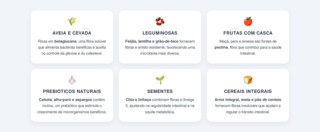 Quais fibras fazem diferença na saúde do intestino?