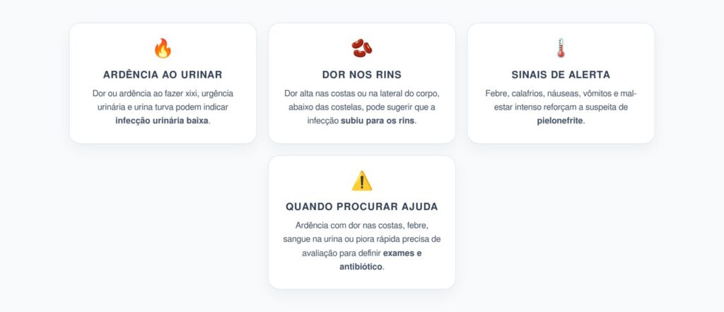 Infecção Urinária com Dor nas Costas: Sinal de Que Pode Ter Subido Para os Rins