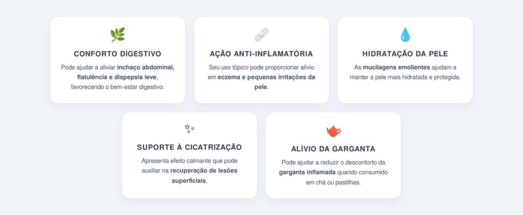 Quais outros benefícios o malvavisco oferece?