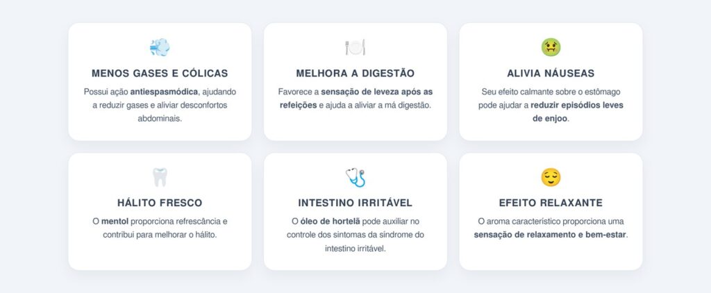 Quais são os principais benefícios da hortelã?