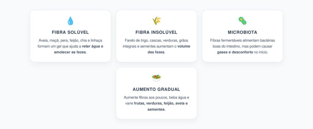 Fibras para o Intestino: Tipos, Benefícios e Como Aumentar Sem Desconforto