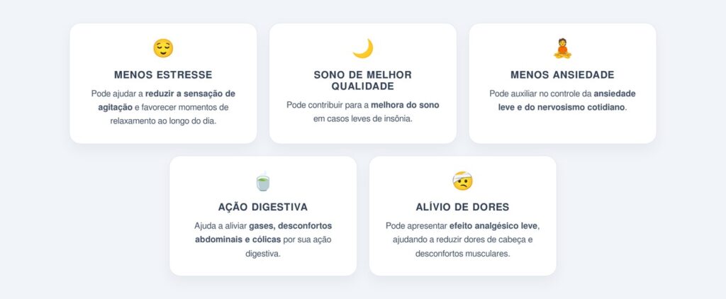 Quais benefícios a erva-cidreira oferece?