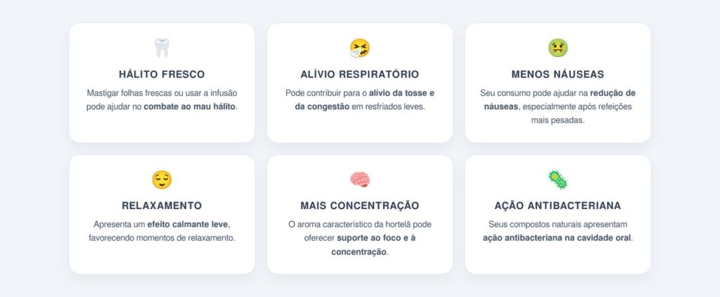 Quais outros usos a hortelã tem no dia a dia?