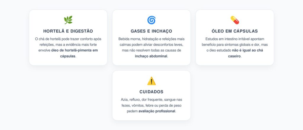 Chá de Hortelã na Digestão: O Que Ajuda e O Que Não É Promessa
