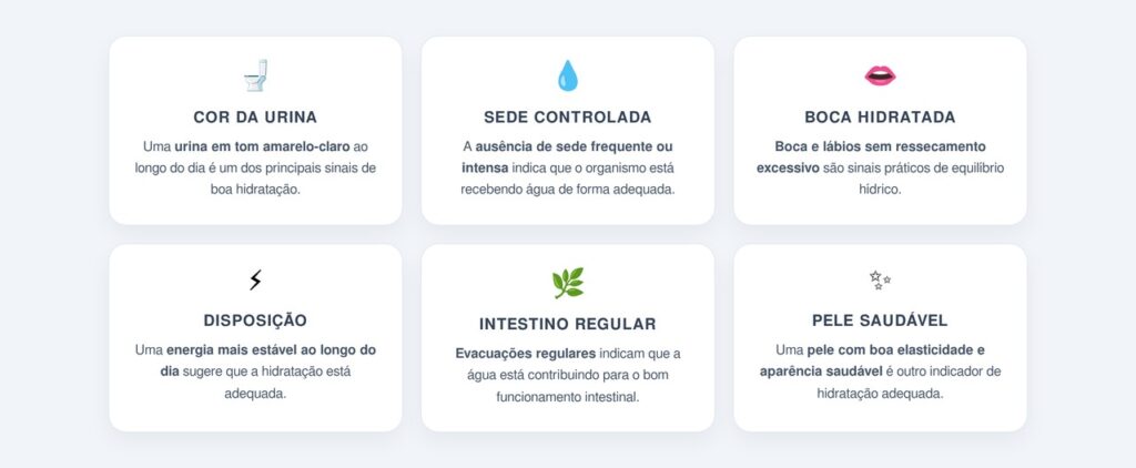 Quais sinais práticos indicam boa hidratação?