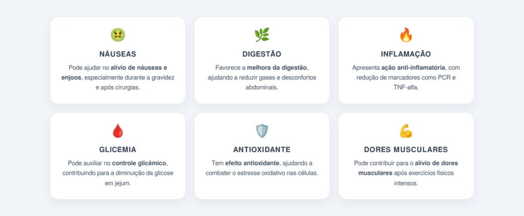 Quais são os principais benefícios do gengibre?