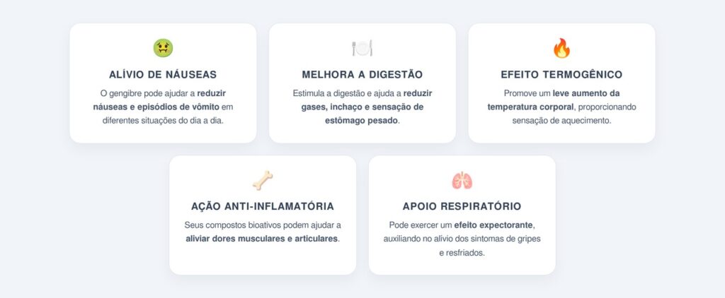 Como o gengibre ajuda na digestão e aquece o corpo?