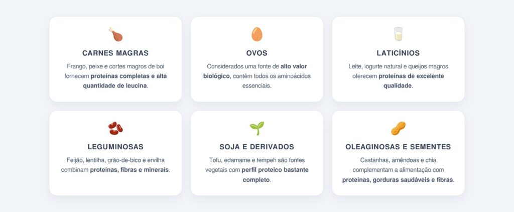 Quais alimentos são boas fontes de proteína?