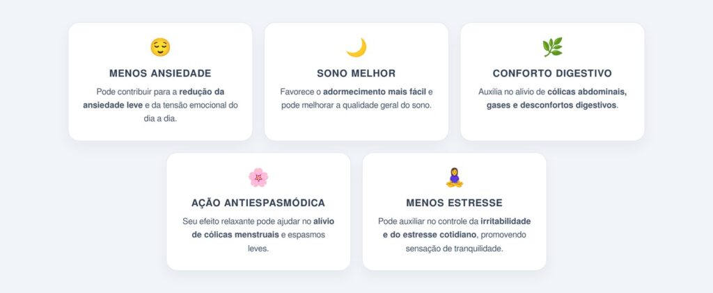 Quais são os principais benefícios da erva-cidreira?