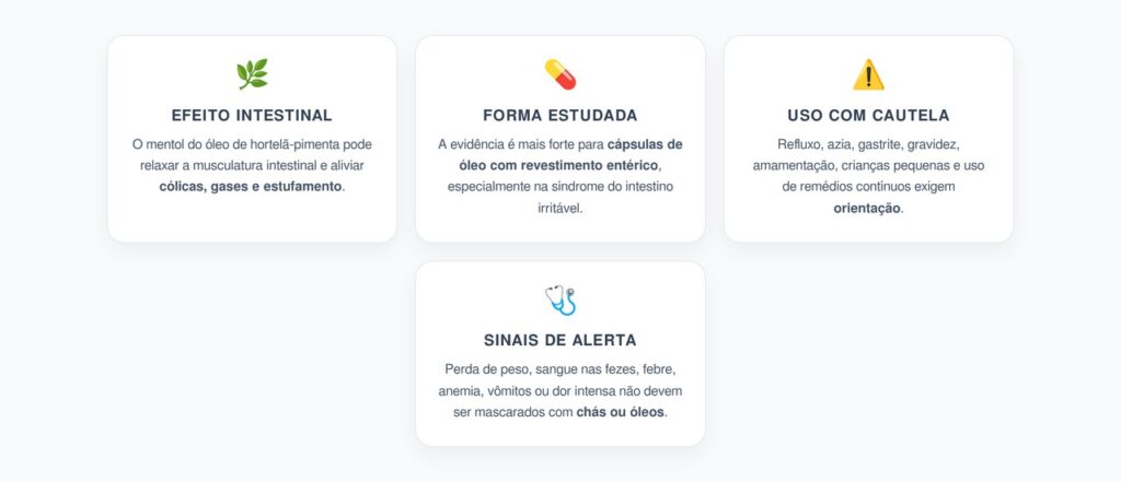 Hortelã-Pimenta Para Gases: Quando Ajuda e Quando Exige Cautela