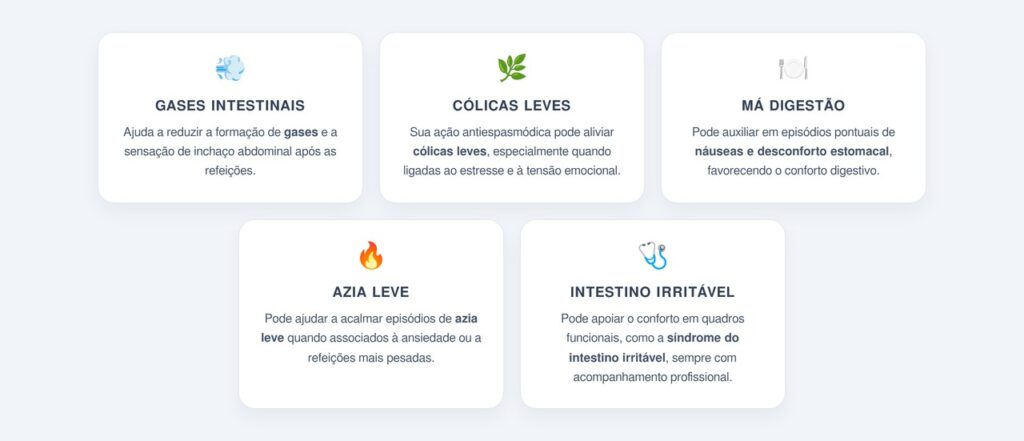 Como a erva-cidreira acalma o estômago?