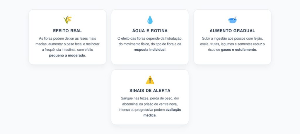 Fibras Para o Intestino: Efeito Real, Limites e Como Aumentar Sem Desconforto