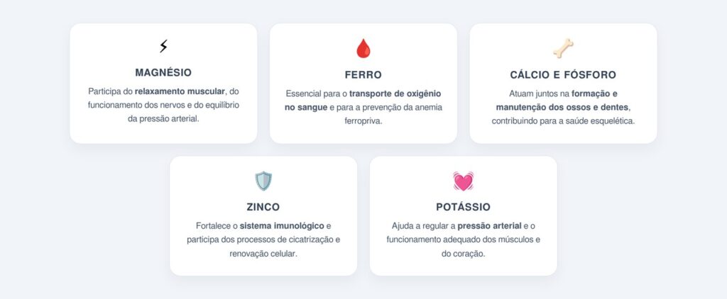 Quais minerais elas oferecem ao organismo?