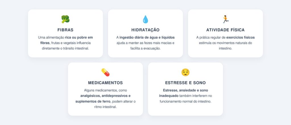 Quais fatores influenciam o ritmo intestinal?
