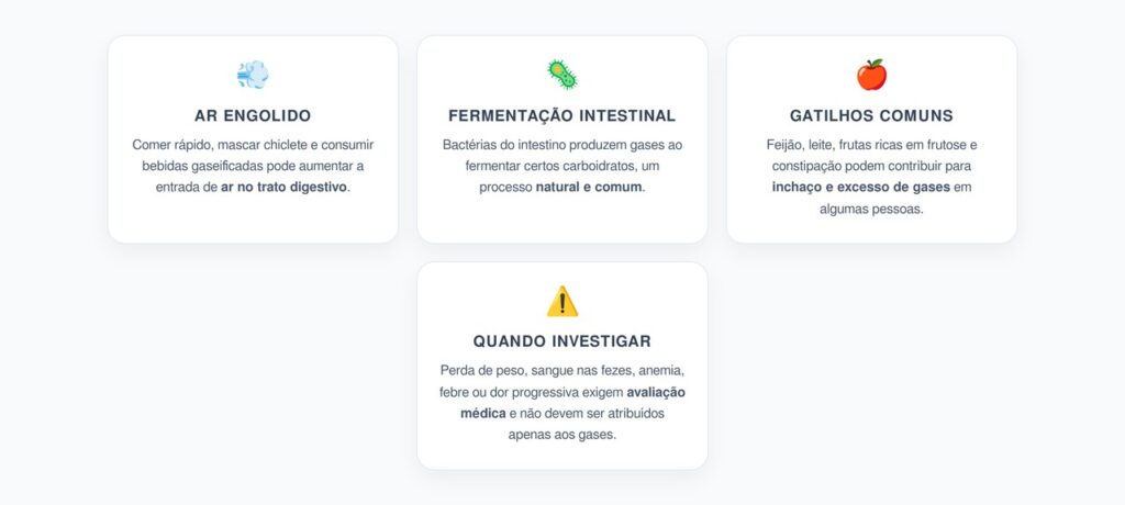 Barriga Inchada e Gases: Quando o Problema Vai Além do Glúten