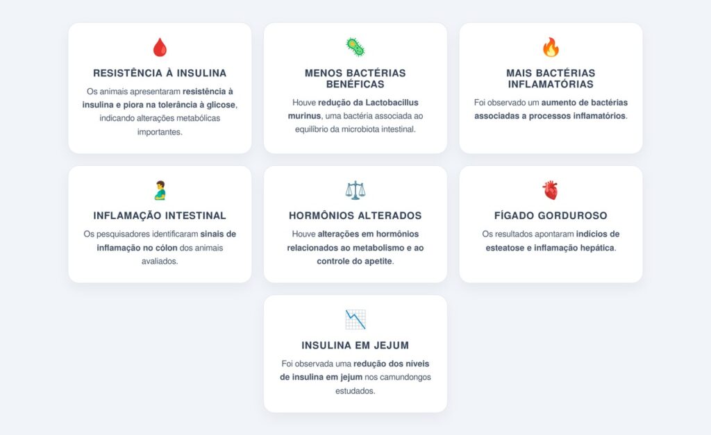 Quais alterações foram observadas nos camundongos?