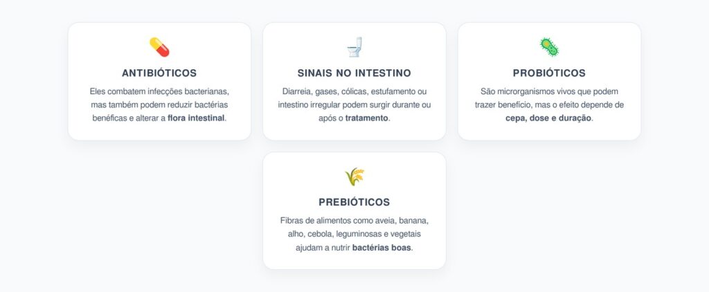 Flora Intestinal Após Antibióticos: Probióticos, Prebióticos e Recuperação do Intestino