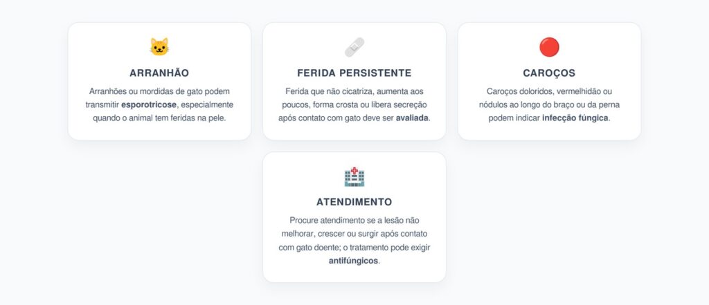Esporotricose Após Arranhão de Gato: Feridas que Não Cicatrizam