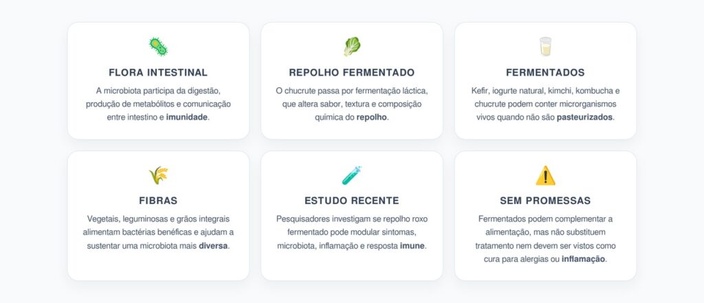 Flora Intestinal e Fermentados: Como o Repolho Fermentado Pode Influenciar a Imunidade