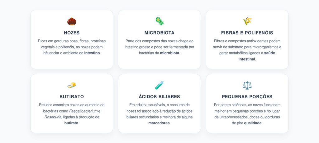 Nozes e Intestino: Como Esse Alimento Pode Influenciar a Microbiota