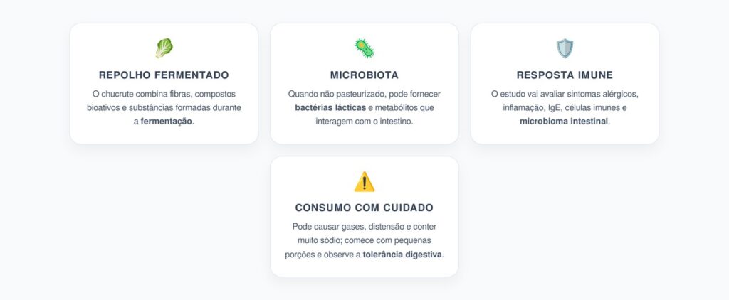 Repolho Fermentado: Microbiota, Imunidade e Cuidados no Consumo