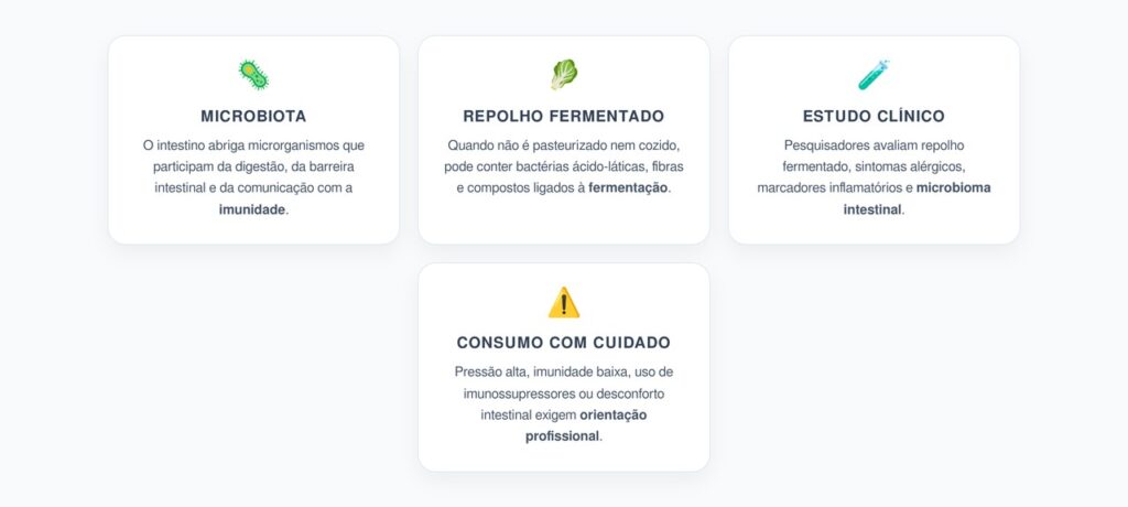 Repolho Fermentado e Microbiota: O Elo Entre Intestino e Imunidade