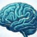 A vitamina que contribui para a saúde cerebral e pode reduzir o risco de declínio cognitivo