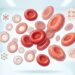 A anemia não se deve apenas à falta de ferro: deficiências de B12 e ácido fólico também causam