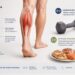 Após os 50, a musculação ajuda o músculo a responder melhor à proteína da alimentação.